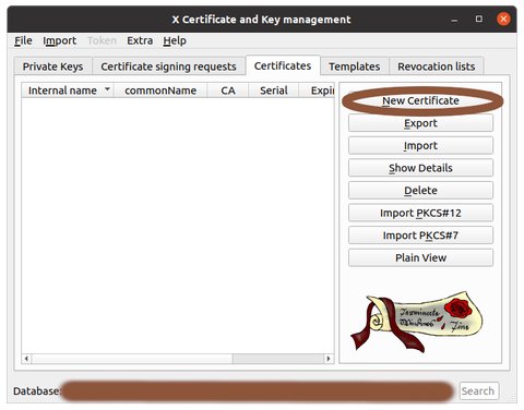 Main window with 'New Certificate circled