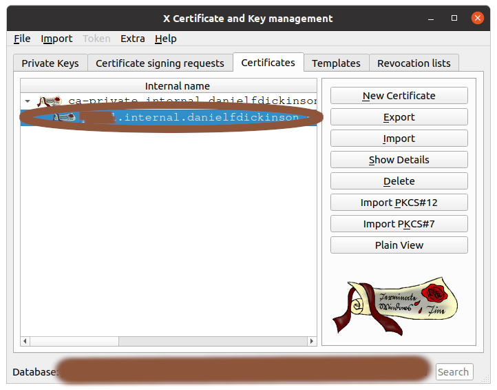 Main dialogue with a CA-signed server certificate selected