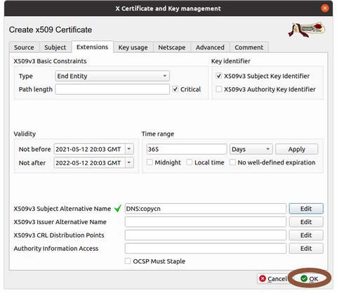 New certificate dialogue for server certificate with 'OK' circled