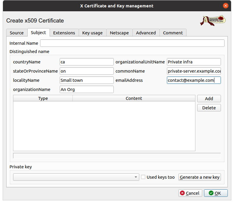 New certificate dialogue for a server certificate, with subject fields filled in