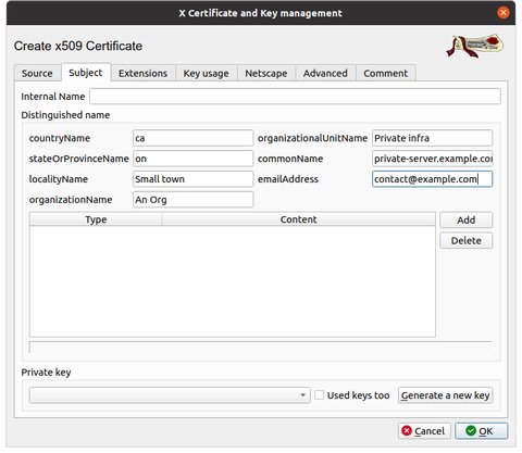 New certificate dialogue for a server certificate, with subject fields filled in