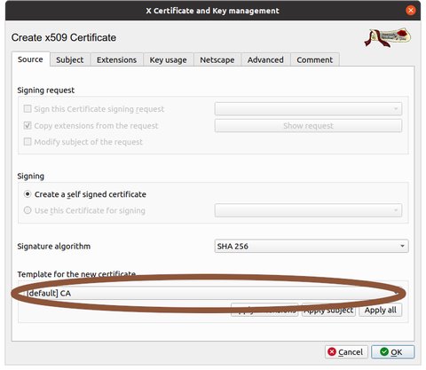Screenshot of XCA new certificate dialogue with default CA circled