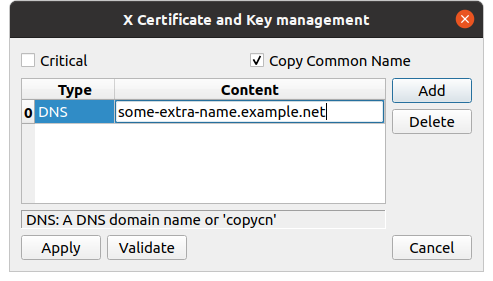 x509v3 SAN (Subject Alternative Name) dialogue with an example DNS entry