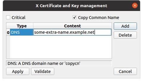 x509v3 SAN (Subject Alternative Name) dialogue with an example DNS entry