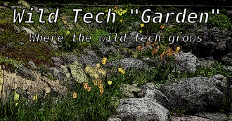 Pixelized view of a rock garden the words \\'Wild Tech \\\