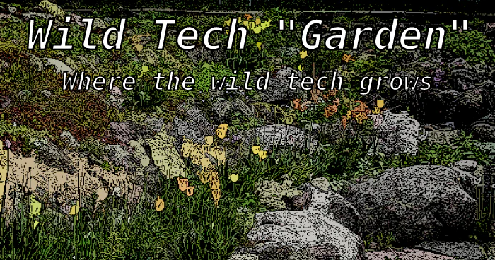 Pixelized view of a rock garden the words ‘Wild Tech “Garden”: Where the wild\ntech grows’ as an overlay